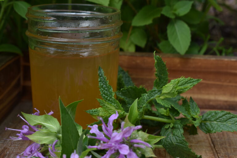 How to use vinegar like an herbalist