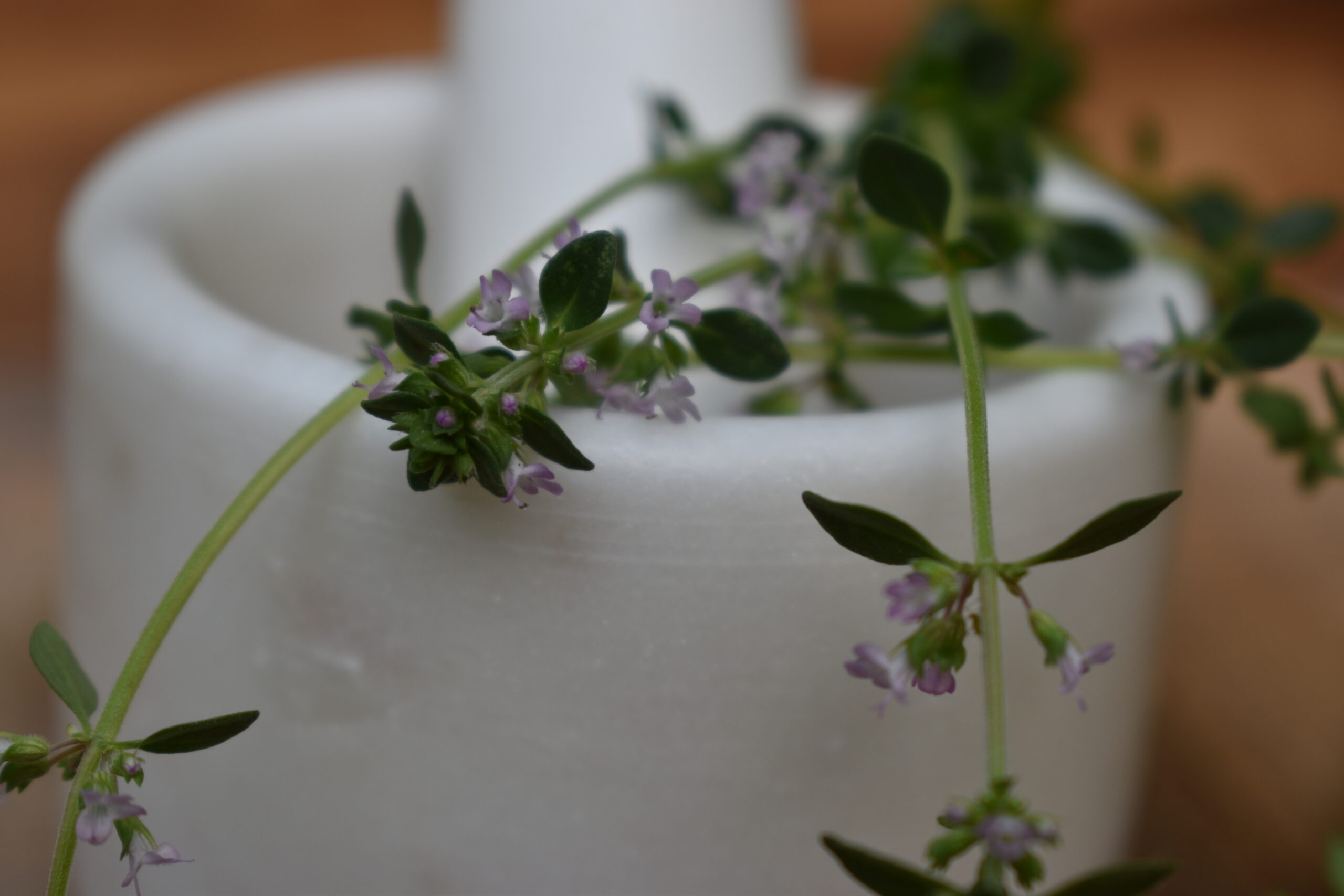 thyme in a mortar and pestle for a garlic infused honey recipe