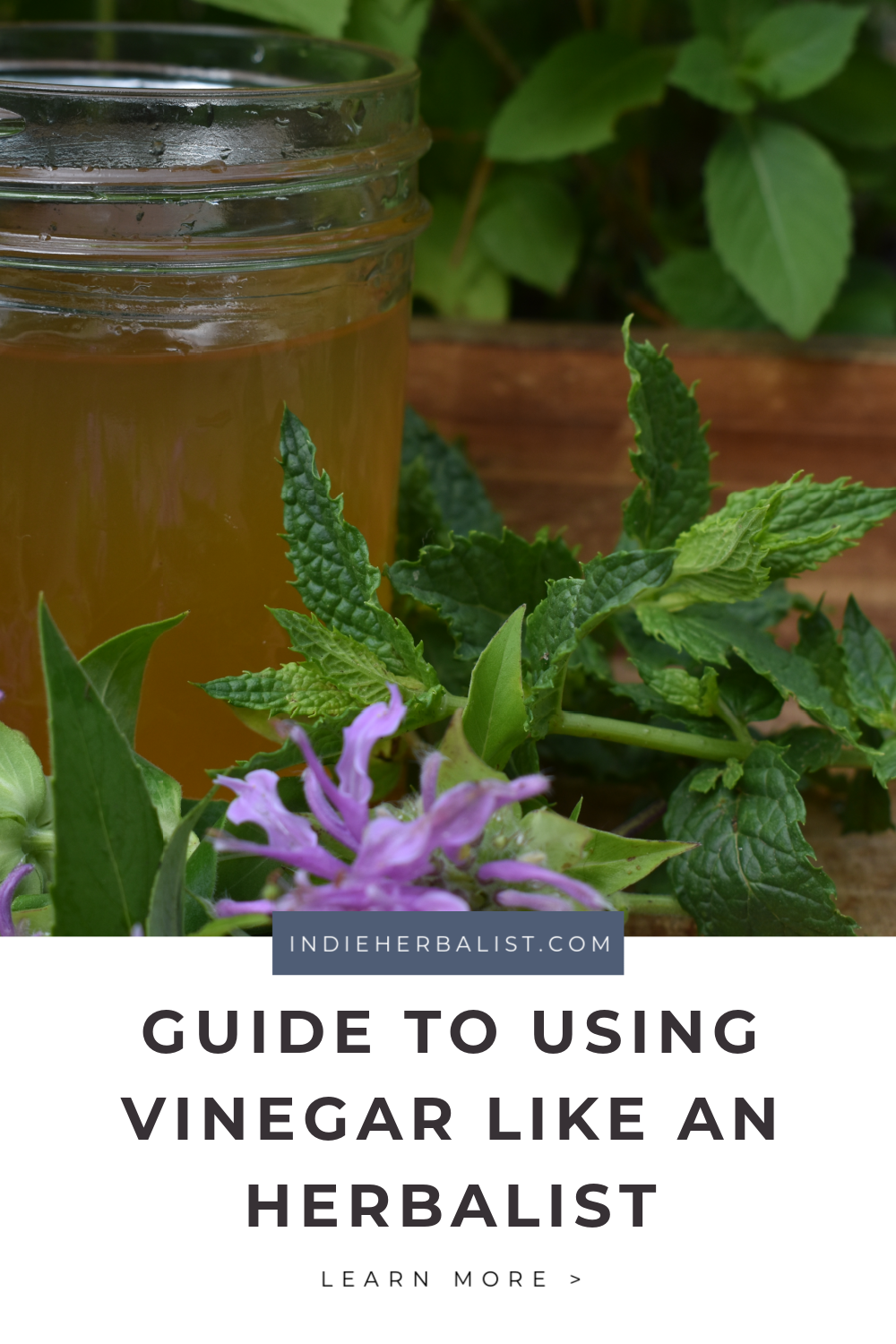 How to use vinegar like an herbalist | indie herbalist