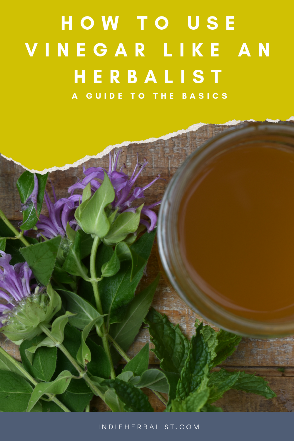 how-to-use-vinegar-like-an-herbalist-indie-herbalist