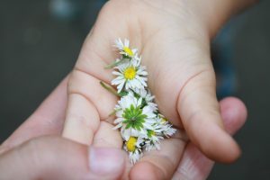 There are a few important safety rules to follow when working with herbs and children.