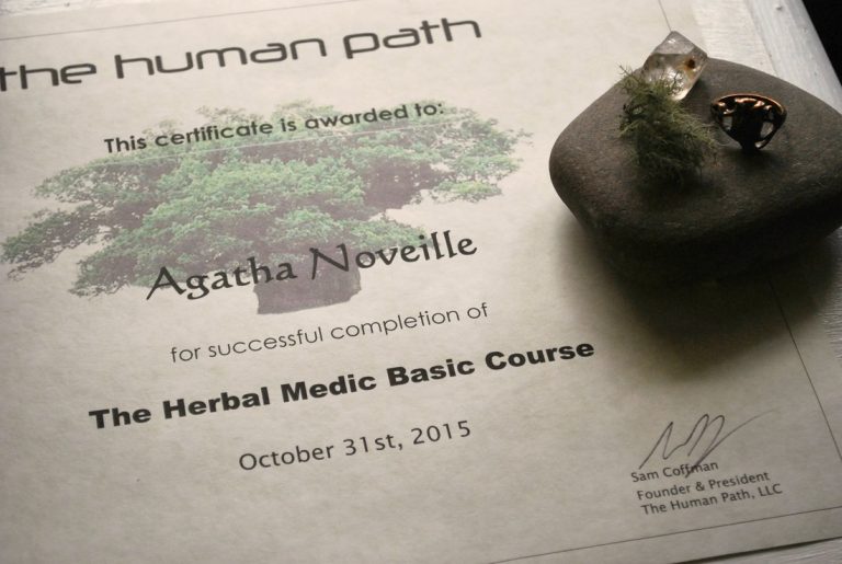 My adventure taking the Herbal Medic Basic Course