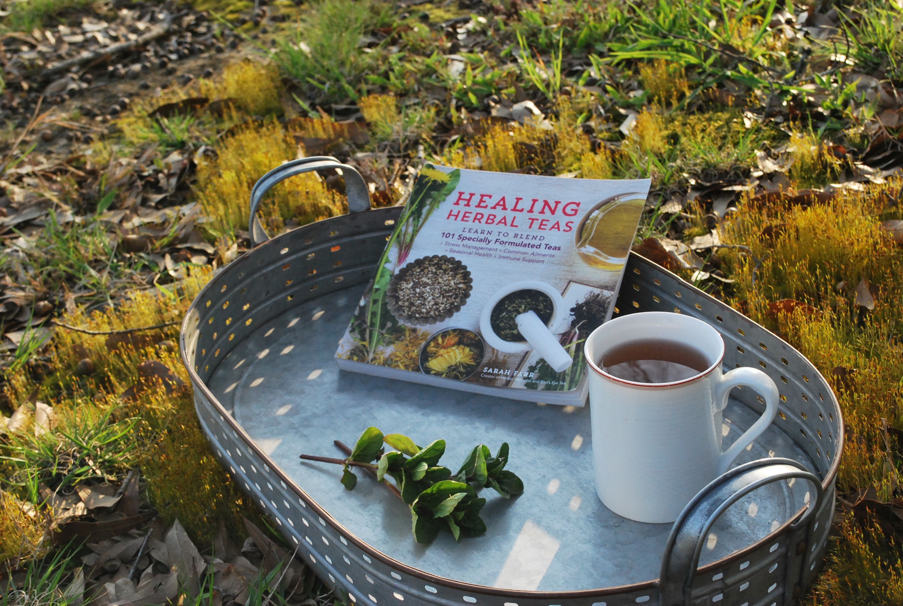 Healing Herbal Teas Book 
