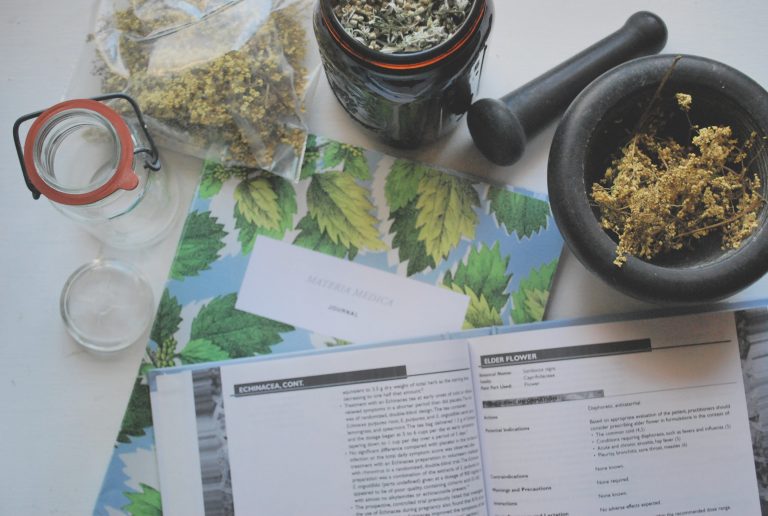Why You Should Level Up Your Herbalist Skills with the Advanced Herbal Course