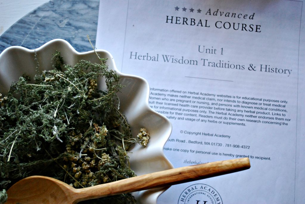 Why Studying Herbal History Makes Us Better Herbalists | Indie Herbalist