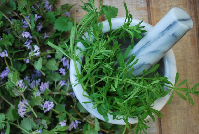 3 Uncommon herbs for seasonal allergies