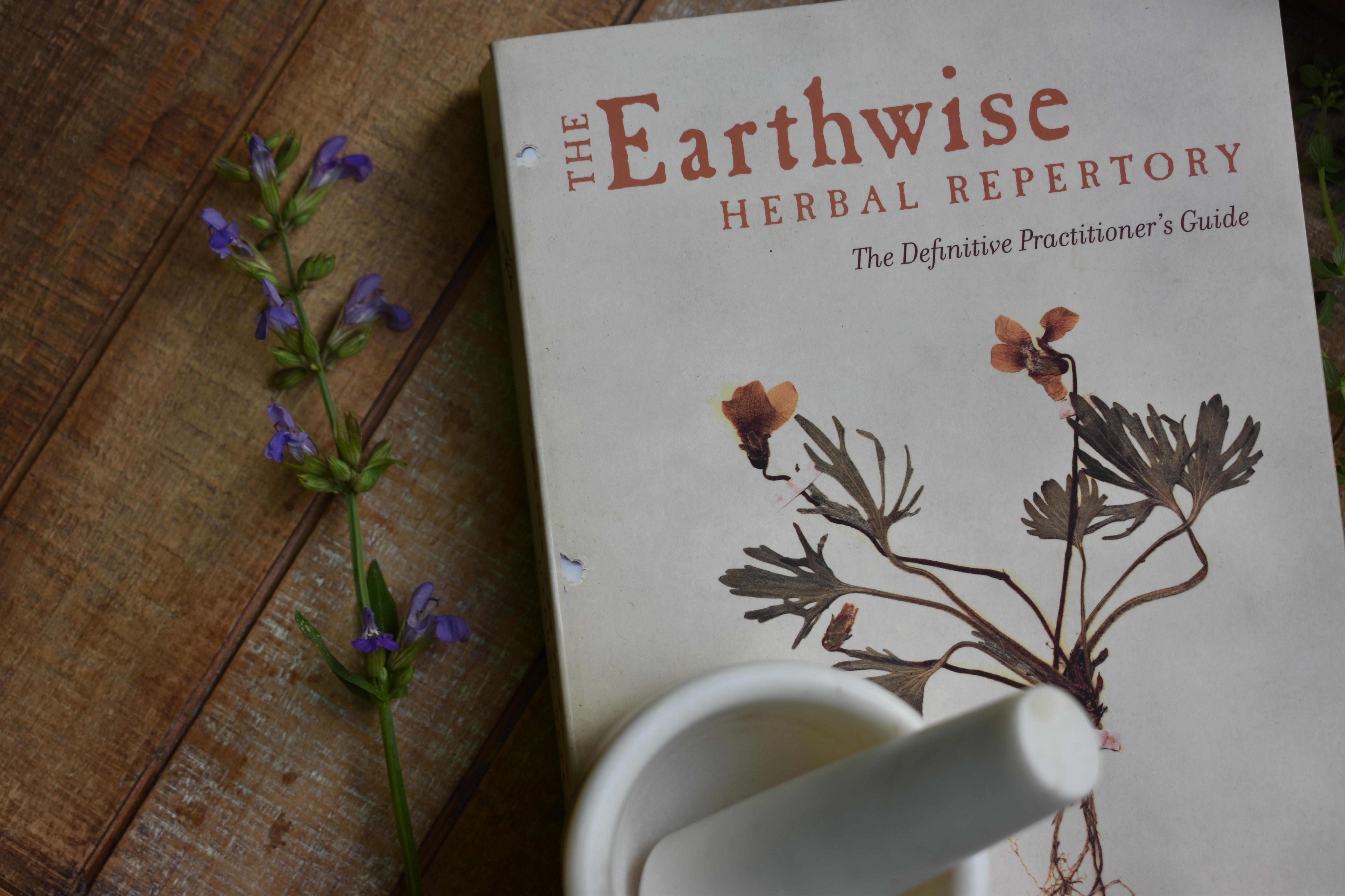 The Earthwise Herbal Repertory for Home Herbalists