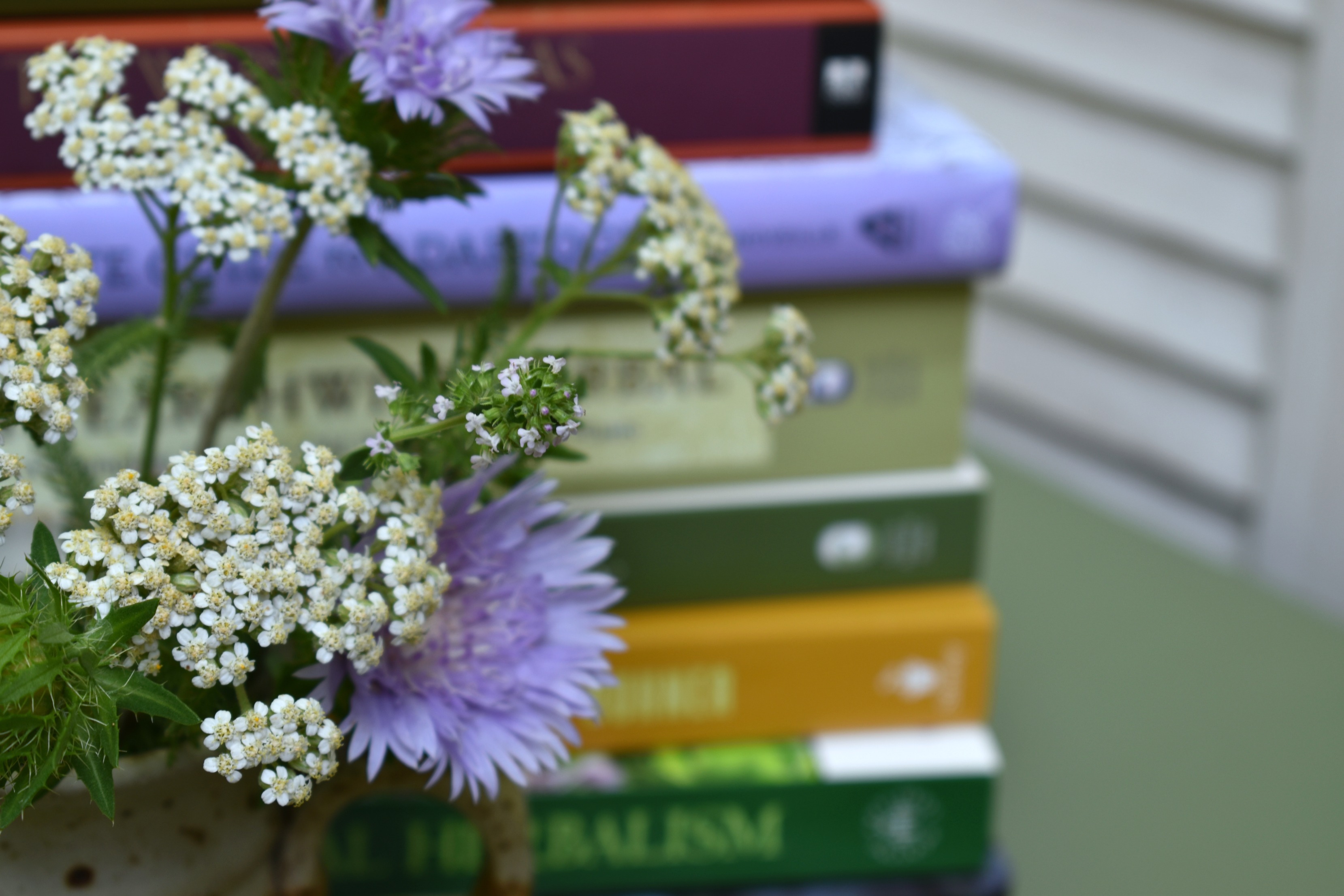 An herbalist’s ultimate guide to herbal books