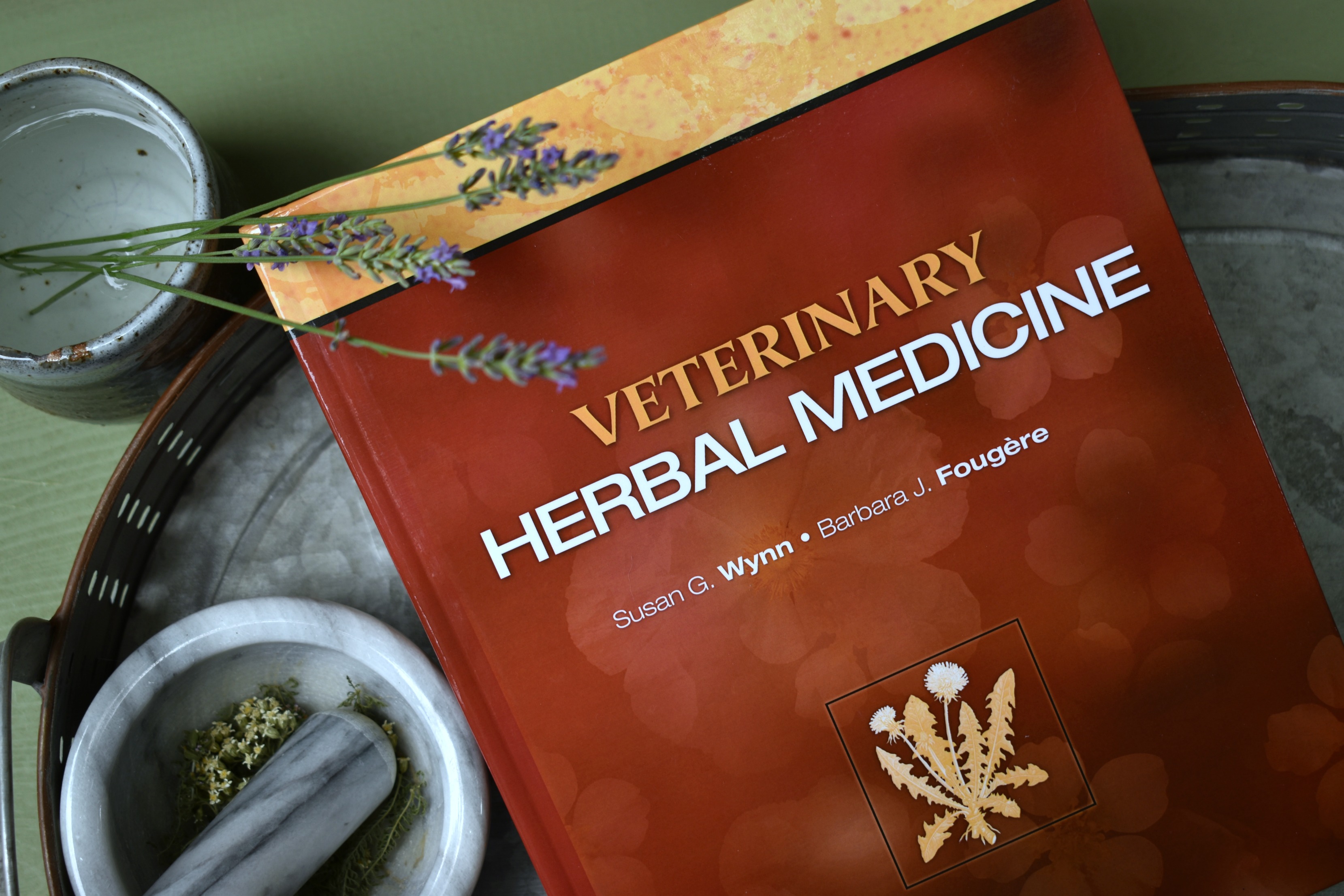 Veterinary Herbal Medicine for Homesteaders and Preppers