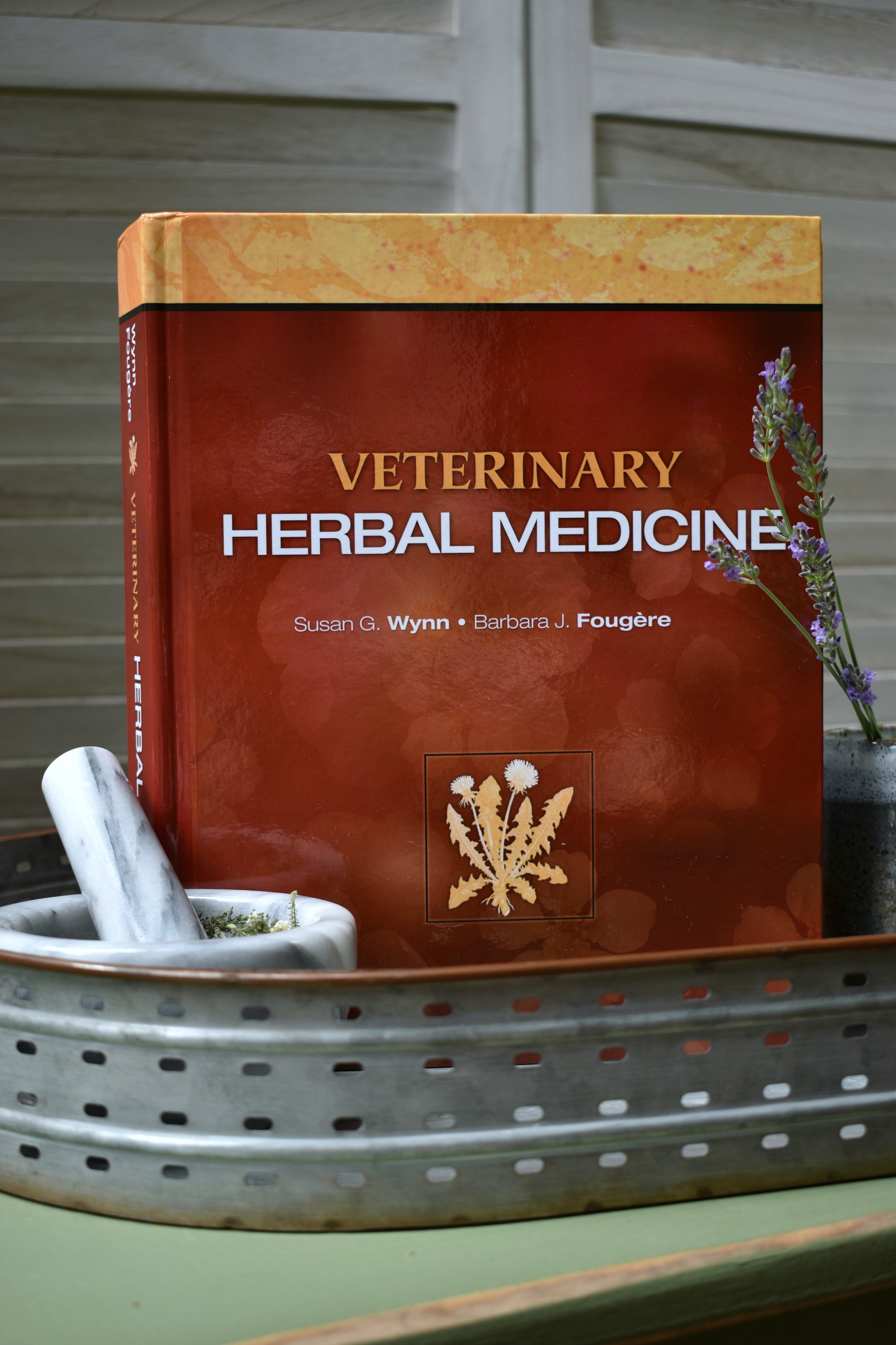A picture of Veterinary Herbal Medicine book by Fougere and Wynn