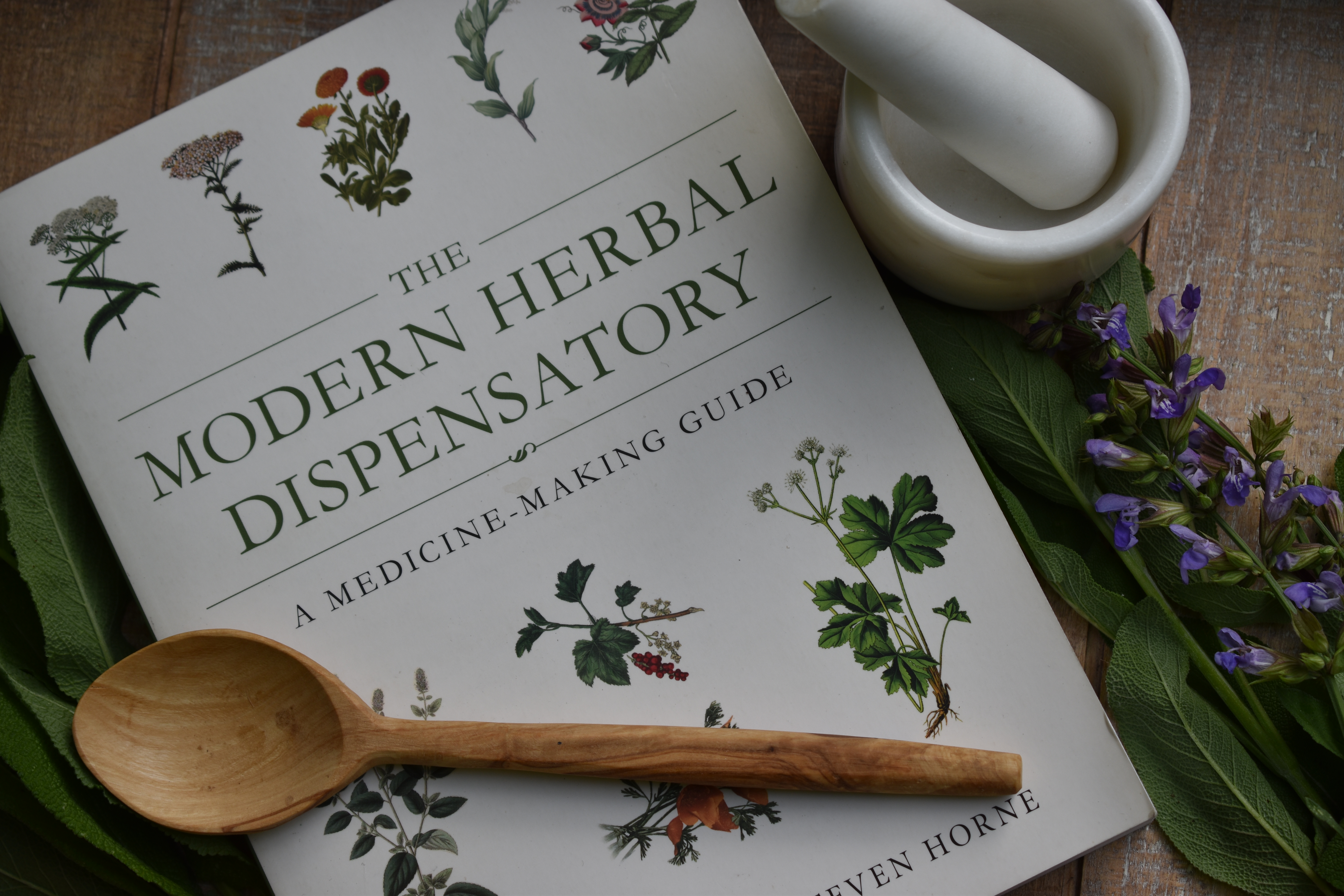 A review of The Modern Herbal Dispensatory