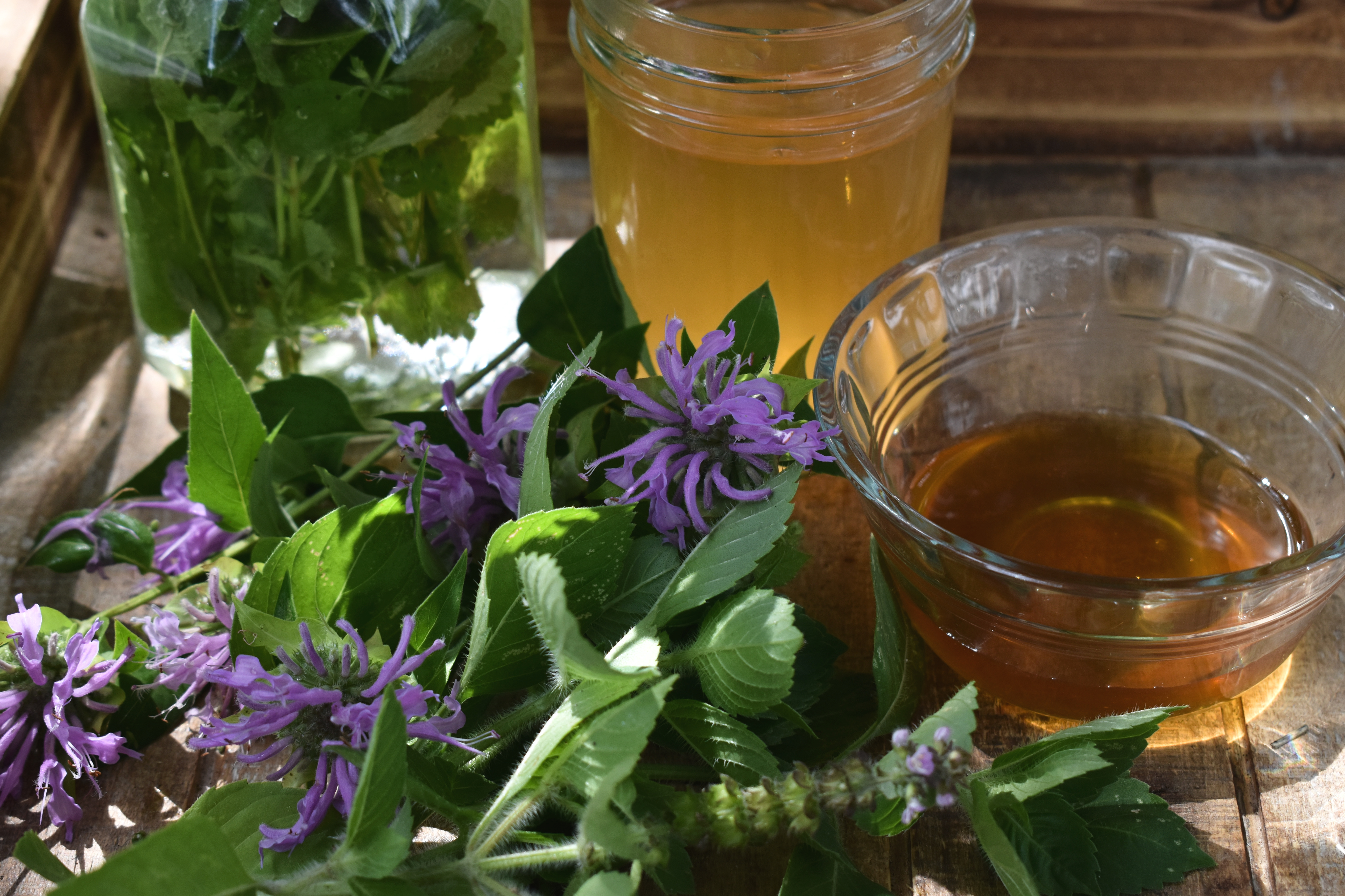 Alcohol free herbs for the home apothecary