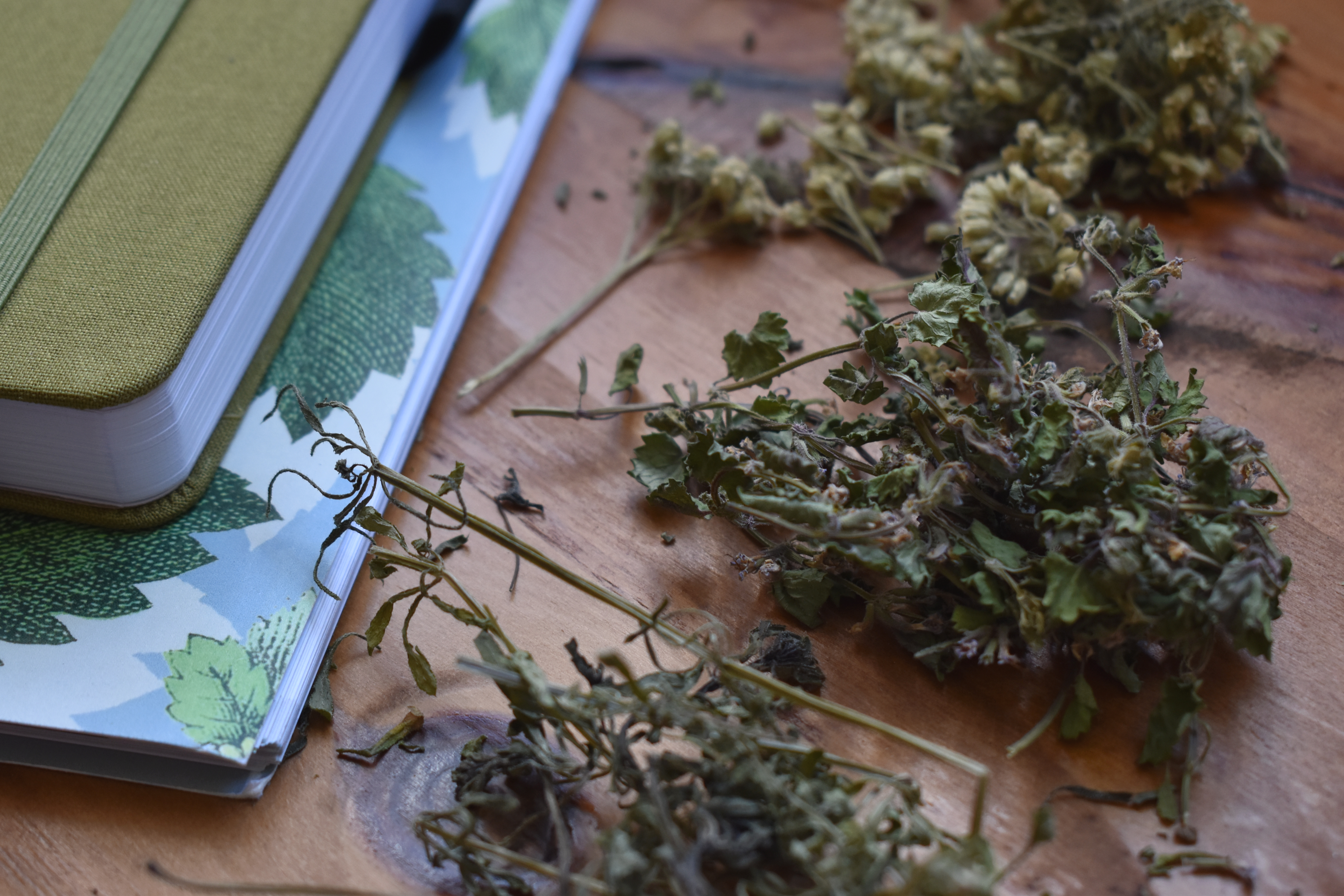 How to tell the quality of dried herbs