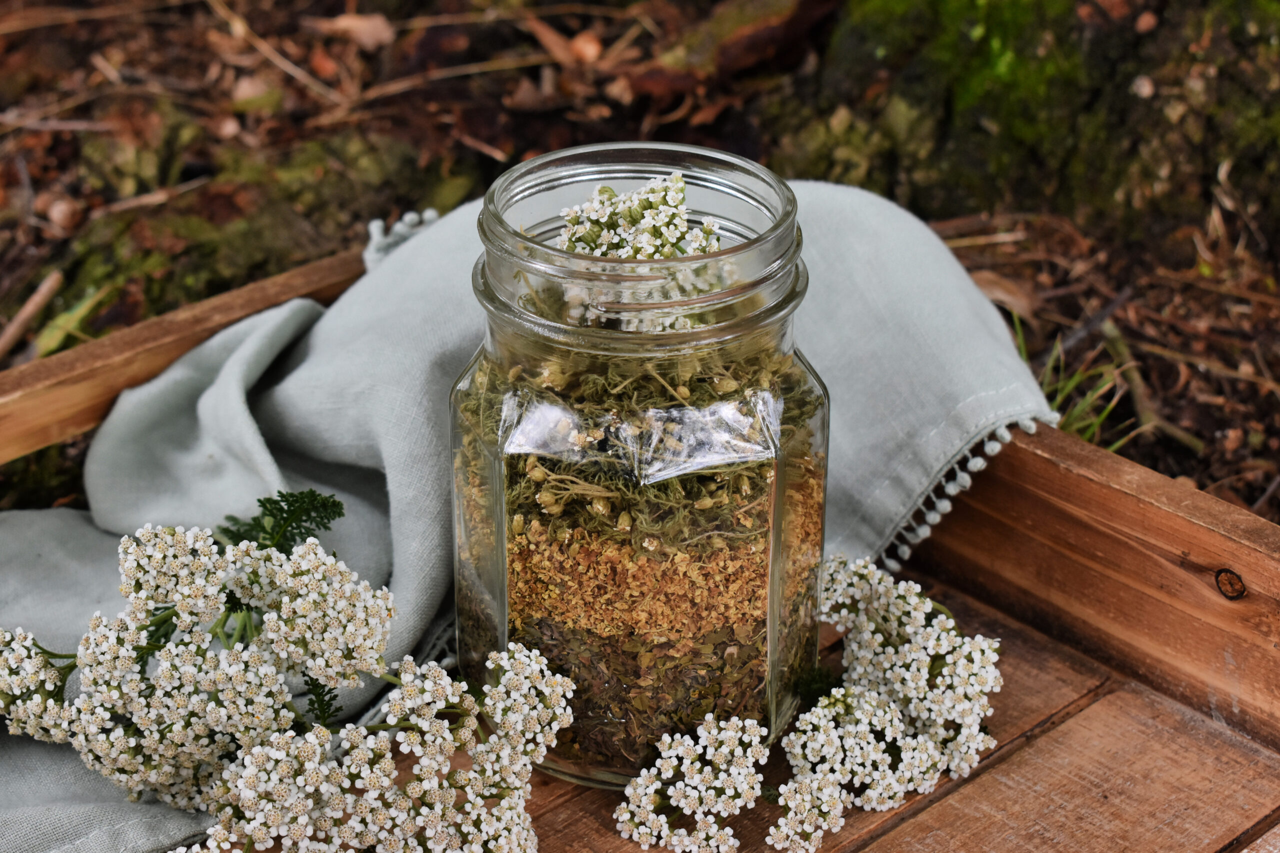 Best places to buy dried herbs online