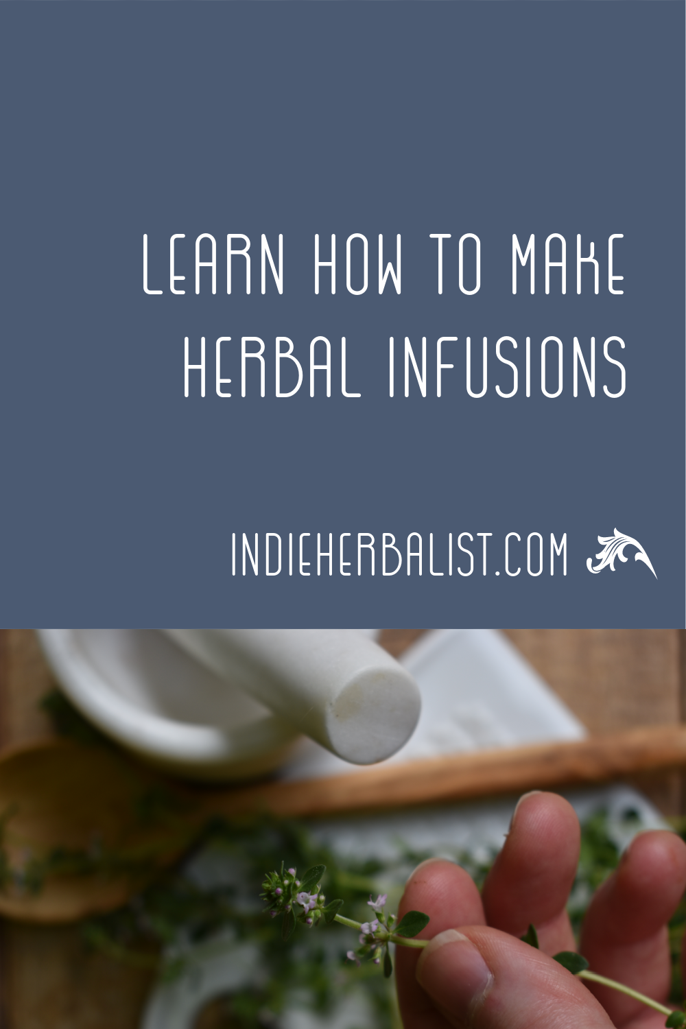 How to make herbal infusions with thyme | indie herbalist