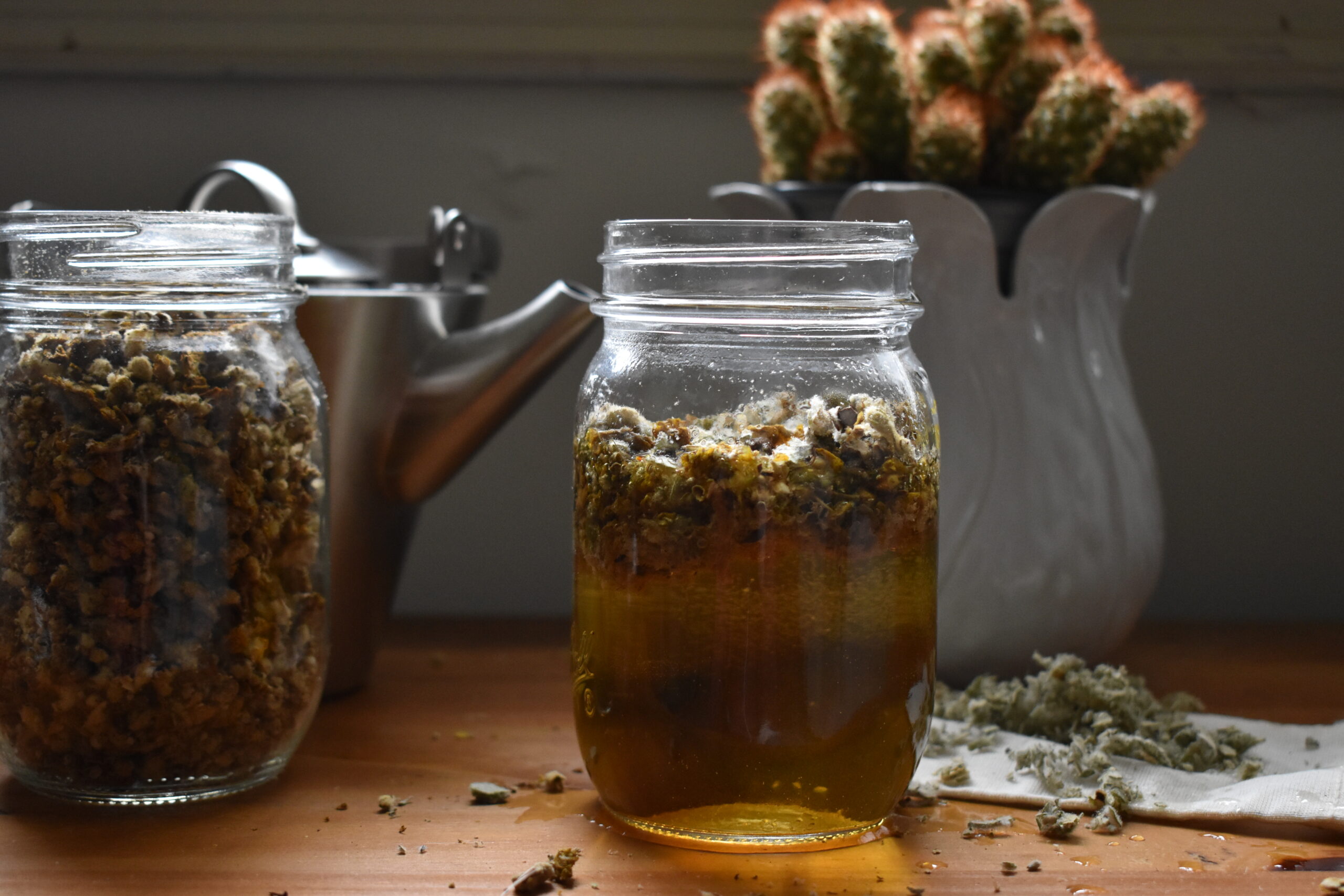 How to make mullein tea