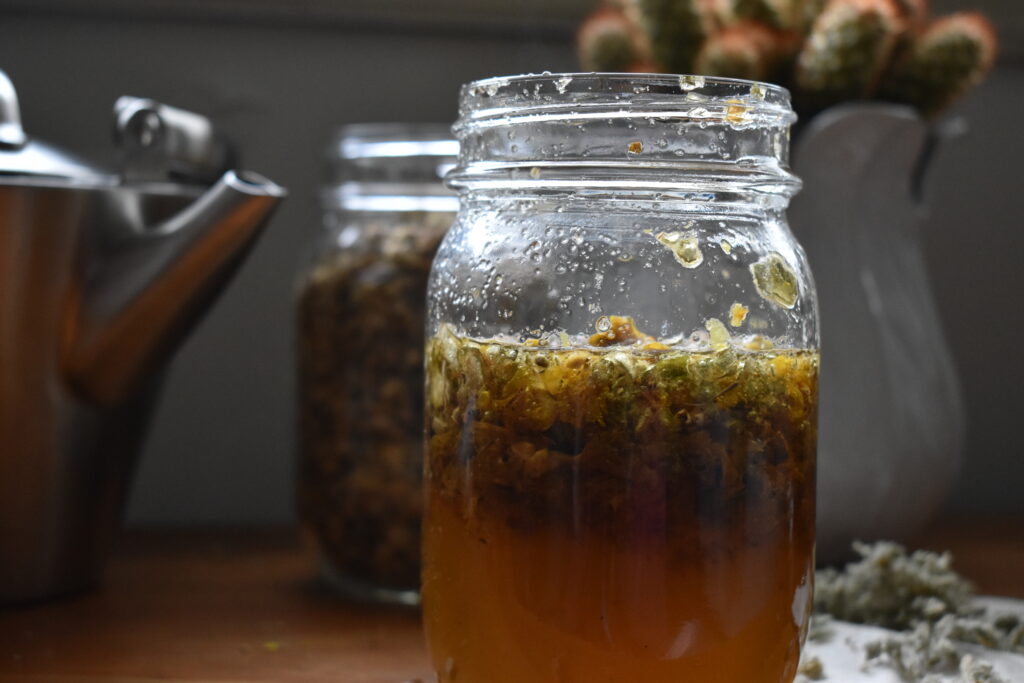 How to Make Mullein Tea 8 indie herbalist