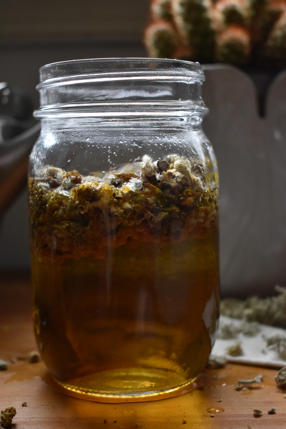 How to make mullein tea | indie herbalist