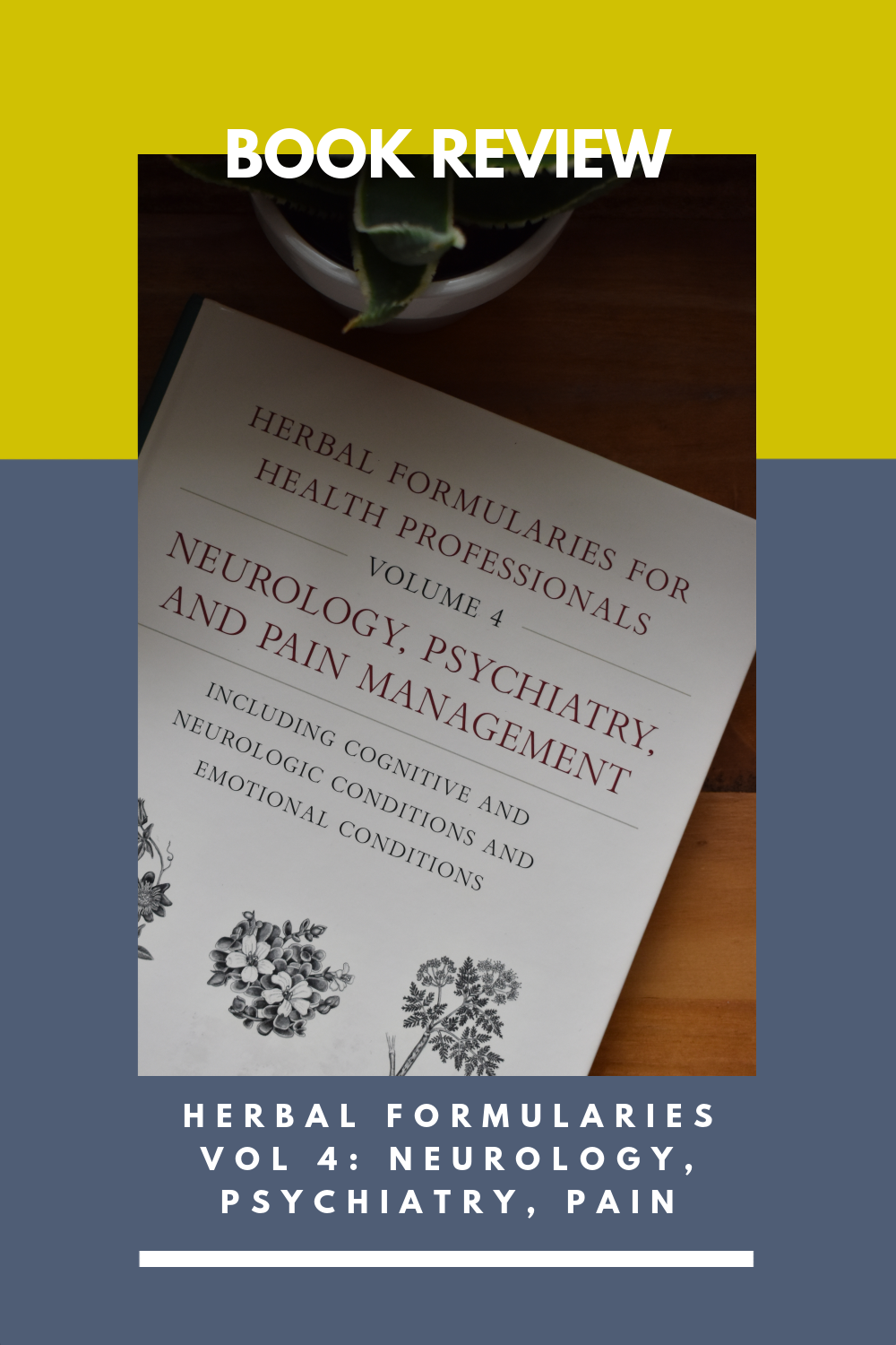 Nervous system herbs book review indie herbalist