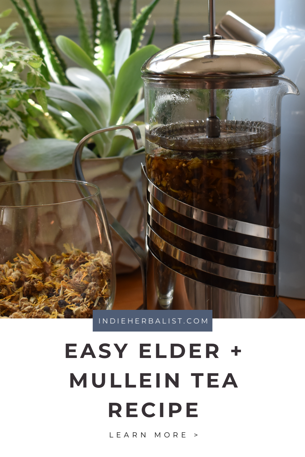 Mullein Tea Recipe With Elderberry And Calendula | Indie Herbalist