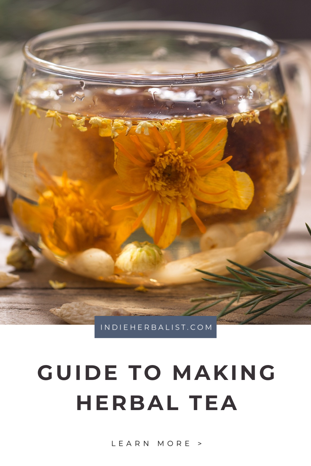 A guide to making herbal tea for new herbalists | indie herbalist