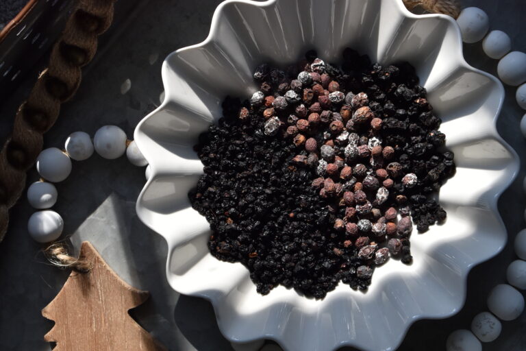 Dried berries for herbal winter wellness