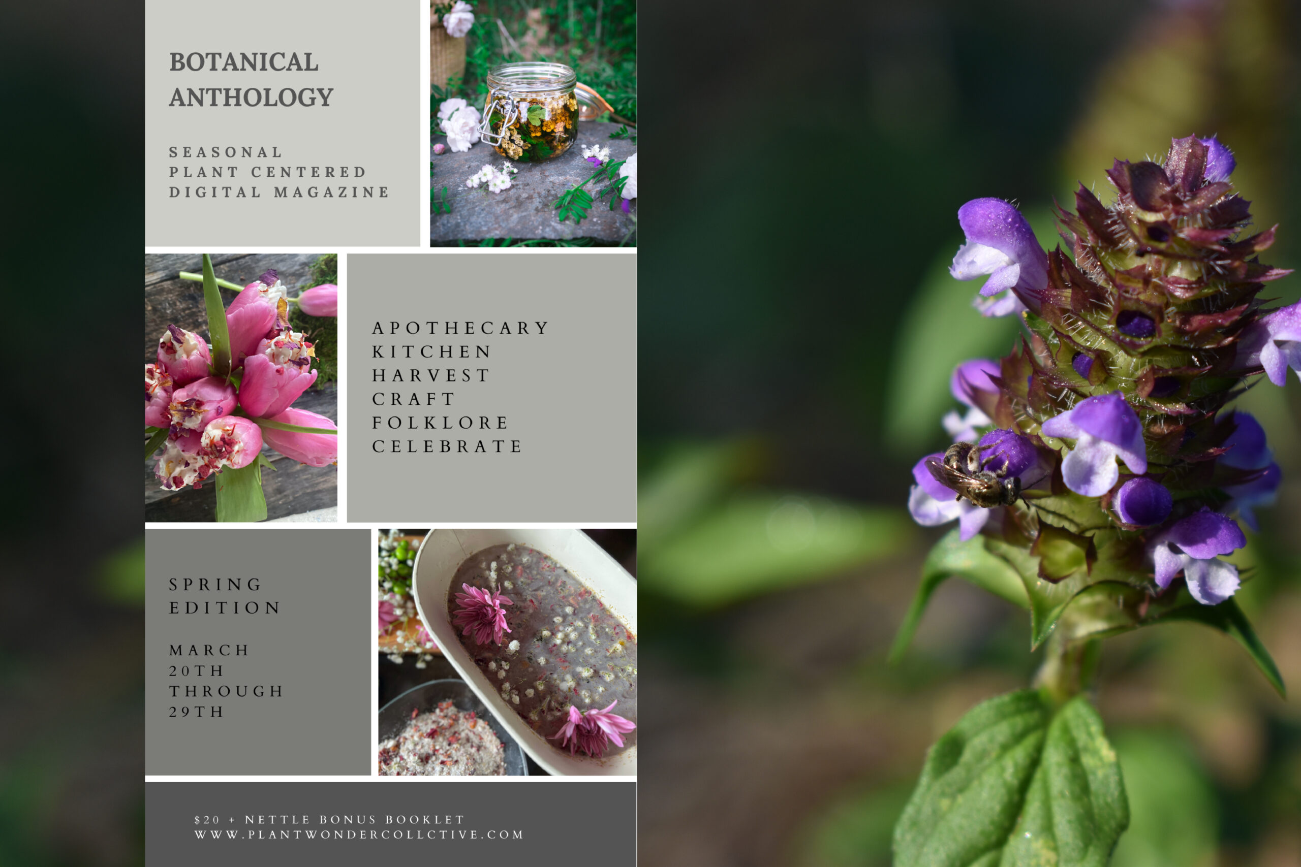 Botanical Anthology spring 2023 review