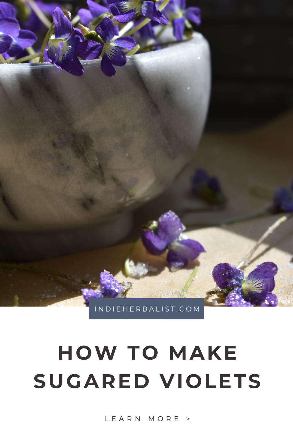 How to make candied violets indie herbalist