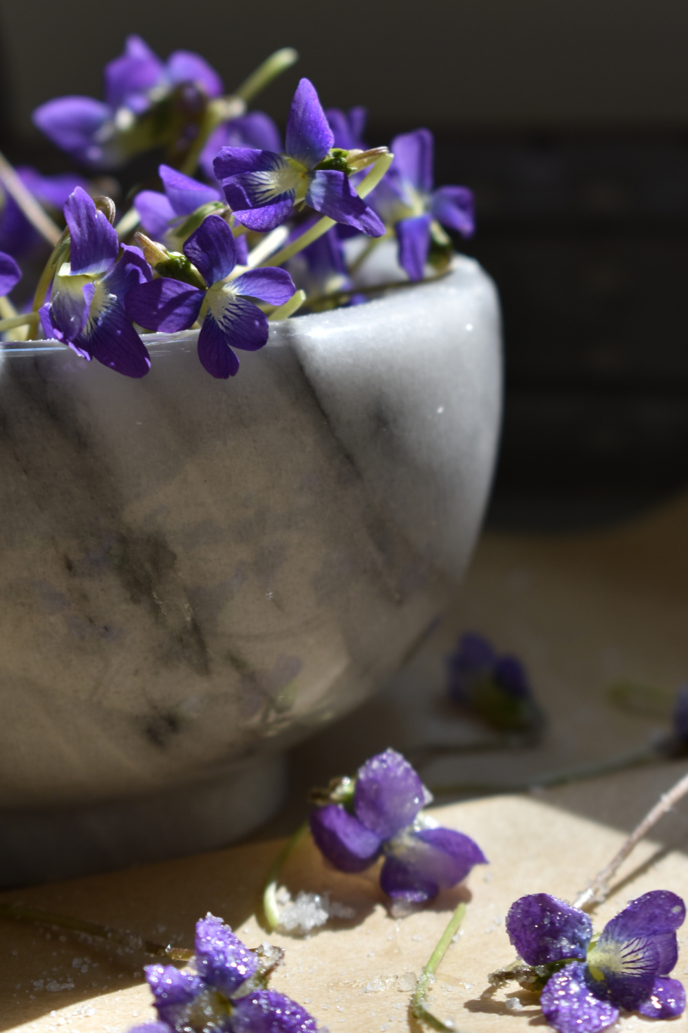 How to make candied violets indie herbalist