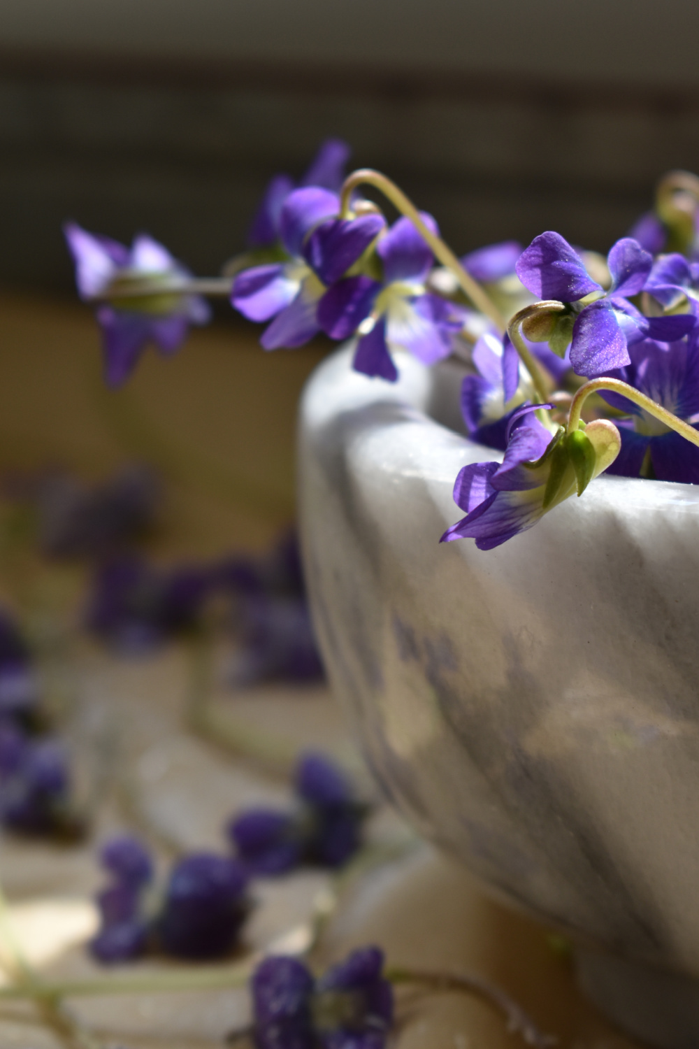 How to make candied violets indie herbalist