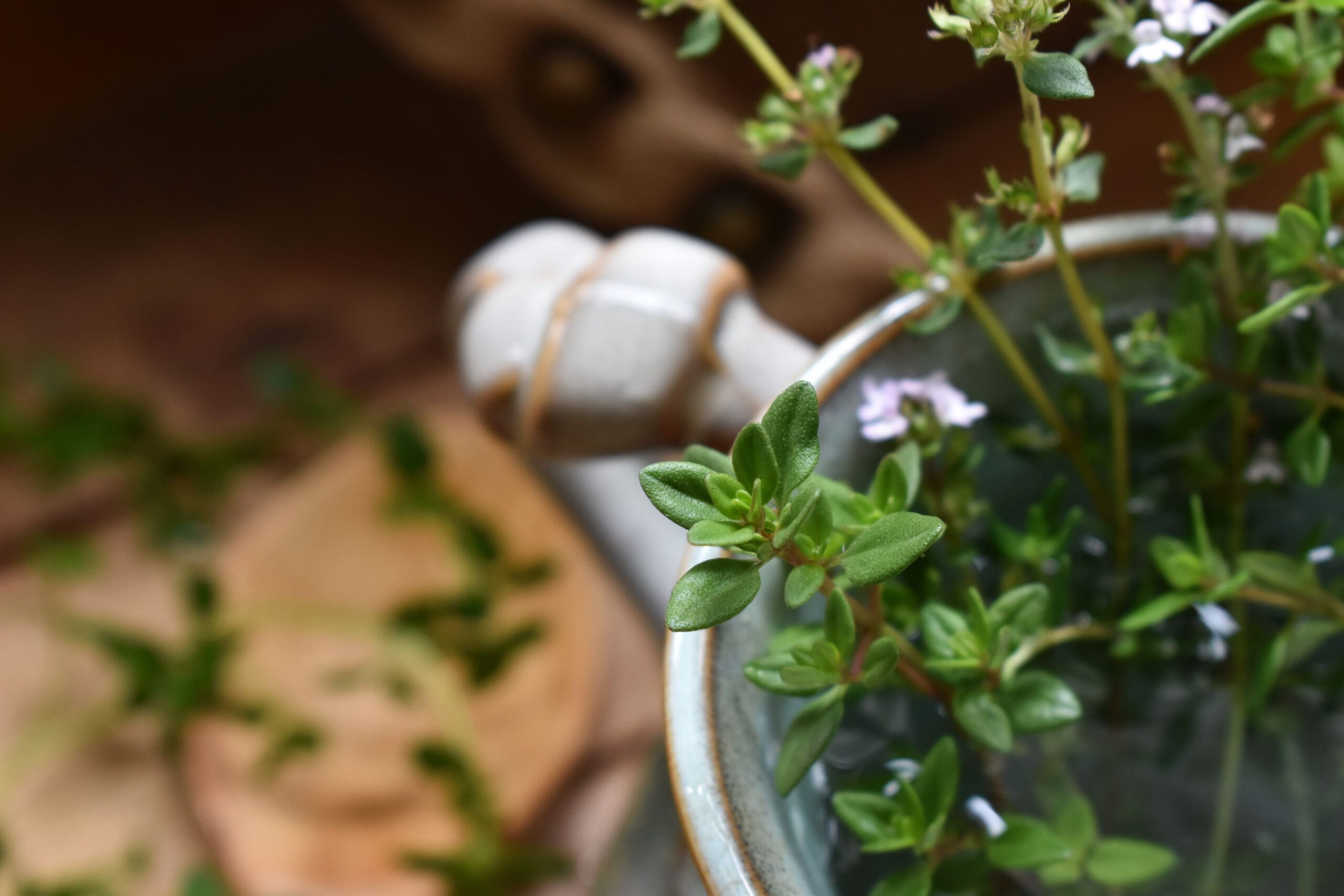 Sprigs of fresh thyme in a pottery mug