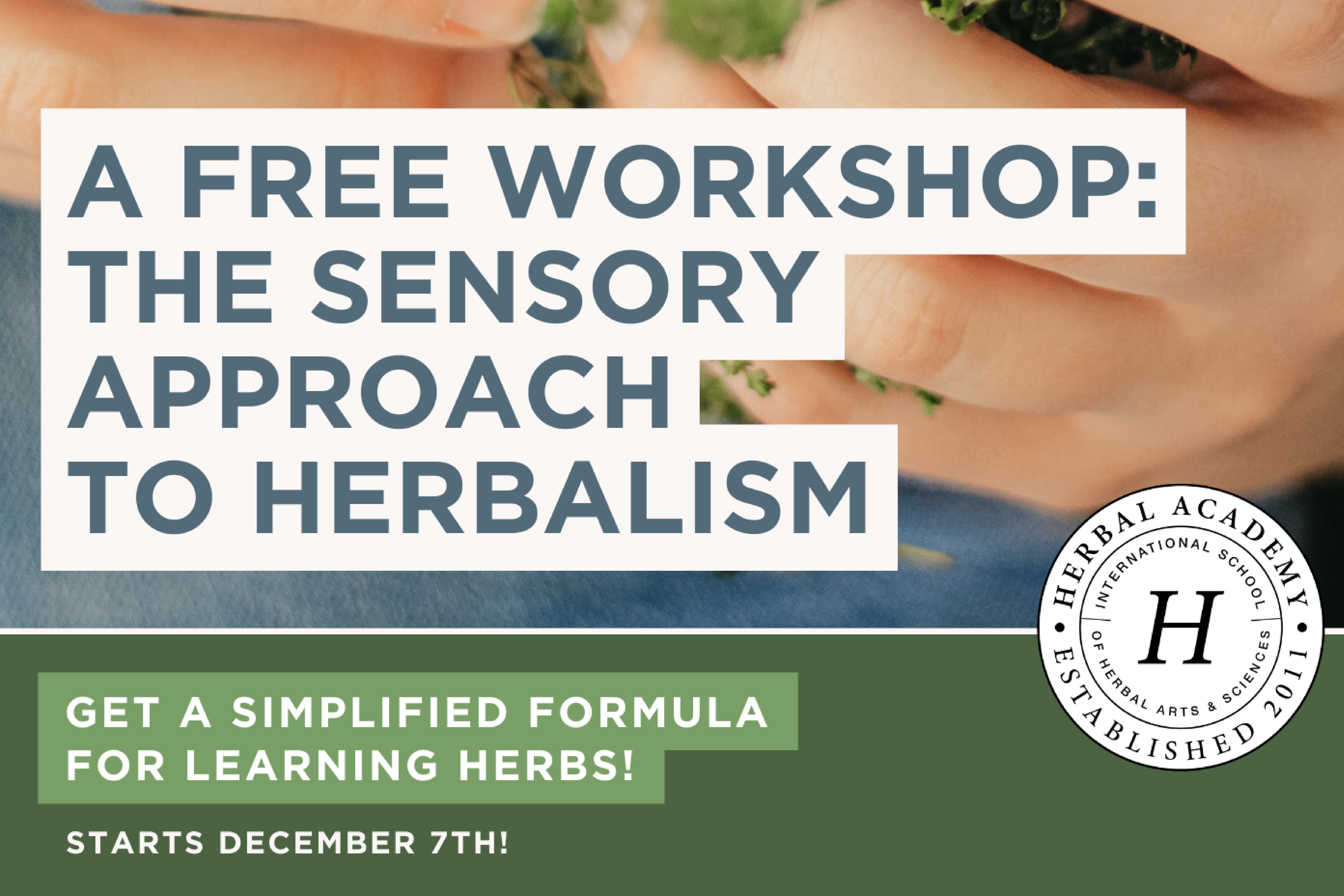 Sensory Approach to Herbalism: Free Workshop!