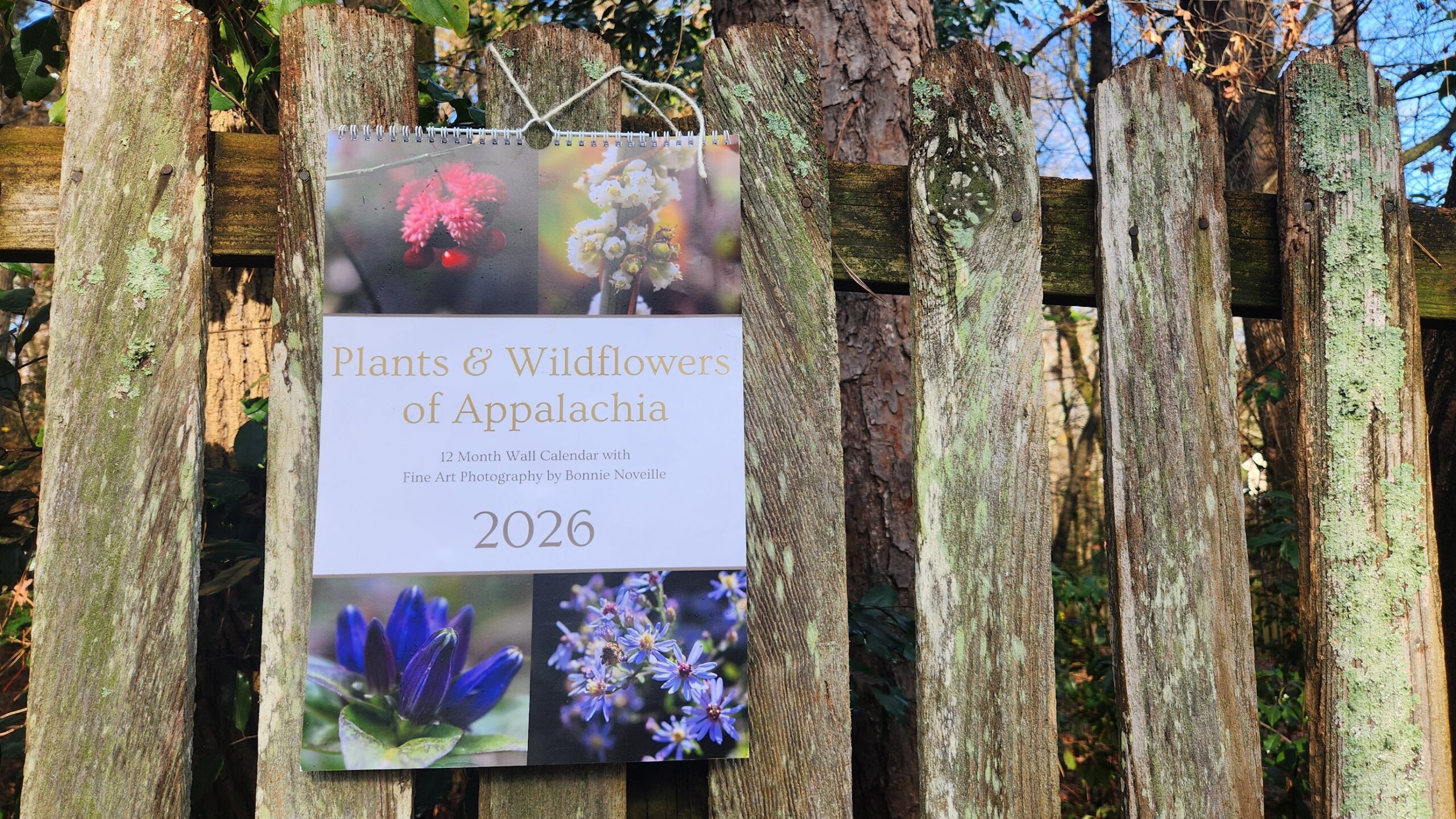 2026 Calendar Wildflowers of Appalachia