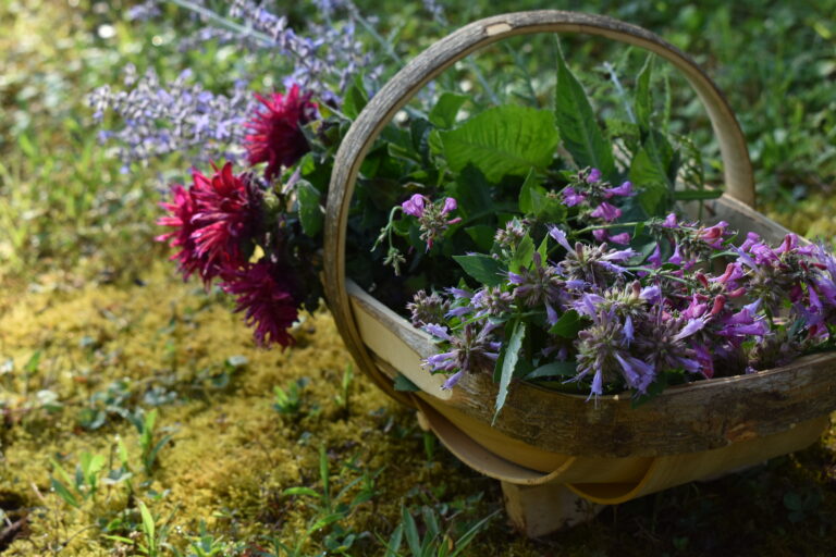 Practical herb gardening articles to read this spring